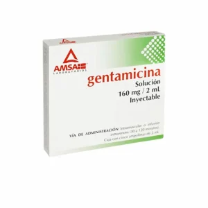 Gentamicina 160 Mg 5 Ampolletas 2 Ml Genérico Amsa